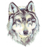 Wolf Pack/Gang