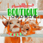 -ell’s boutique-