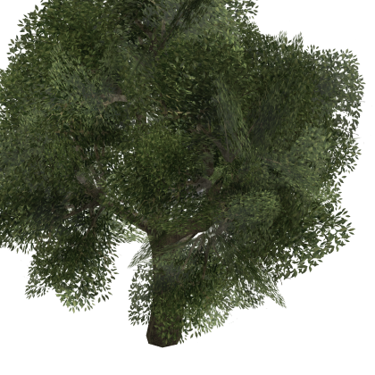 🥱 [Amazing!] 🌳 Tree Plant Rp Hangout Forest