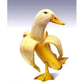 Su Tart Gets the Yoitgert