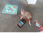 Jaxonhii
