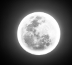 White moon clan