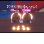 Choco Lab Squad!
