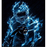 CAROLINA PANTHERS!!!