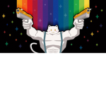 KOXYY7733