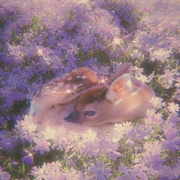 🎕