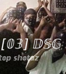 [03] DSG