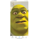 Big shrek group