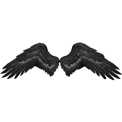 Black Angel Wings