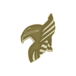 "VALKYRIES"