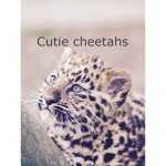 Cutie cheetahs Fan club!