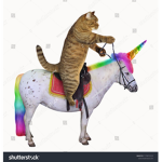 The Space Unicorns!!