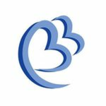BlueBird Airways - Roblox
