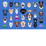 PetZ Fr33