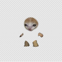 [MCP]🎄🐱 Misterious Chaos Planet