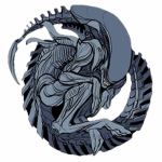 XX121