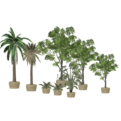Artificial Potted Plants collection