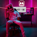 Marshmello RBLX group