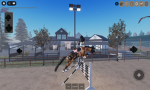 Project equine
