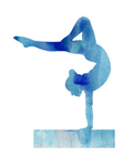 Official Elite Sapphire Stars Gymnastics Team!
