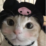 monchéri