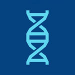 Nucleic
