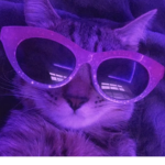 Missgolden