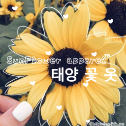 Sunflower Home Store! Version 1one