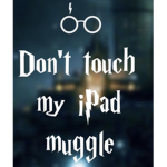 Harry Potters life