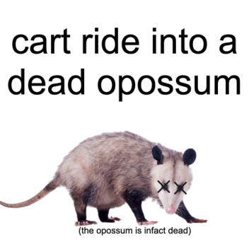cart ride into a dead opossum
