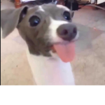 JUDDDDDDDDDDYYYYYYYY