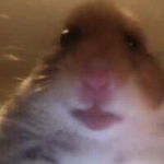 H....A....M....T....E....R
