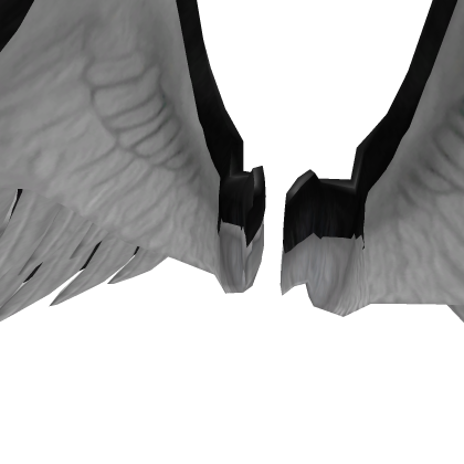 Black Outside and White Outside Wings