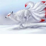 XxDwagonWolfxX