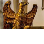 Golden Vultures Karate
