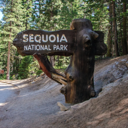 Sequoia National Park