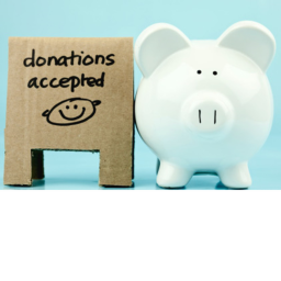 AWESOME ARMY DONATIONS!