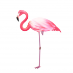 Flaming flamingo$
