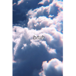 Bruh ppl ~>