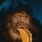 the bigfoot hunters and community