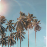 _dreamland_