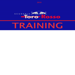 Formula 1 - Scuderia Toro Rosso ( Training Course