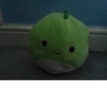 Team pickle forever!