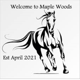 Maple Woods Old Game