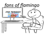 fans of flamingo™