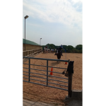 Horsem Horses