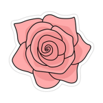 smiley rose