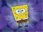 The Spongebob Clan!
