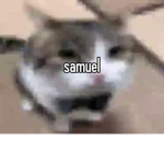 PraiseSamuel