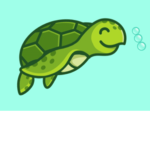 The Turtle Squad Offical